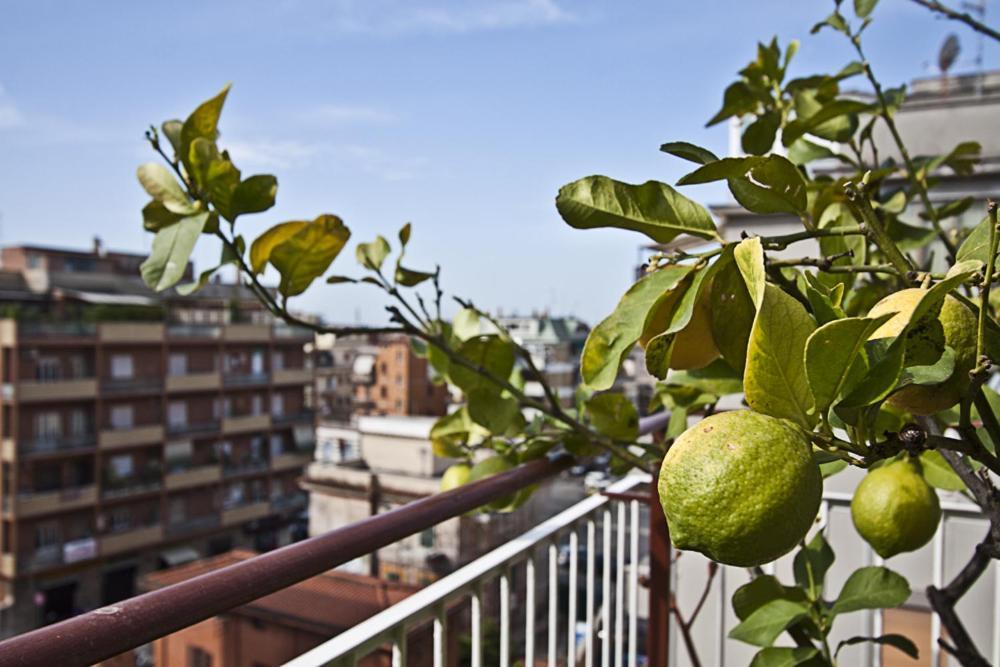 B&B Splendidae Mundi Rome Exterior photo